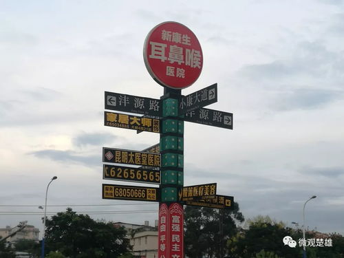 細節(jié)鑄就文明 從海南路牌廣告看城市風貌的精細化治理